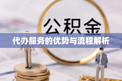 兰坪代办服务的优势与流程解析