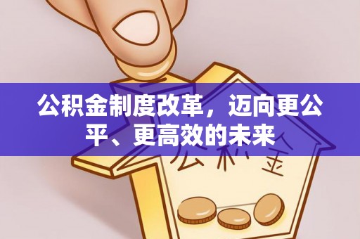 兰坪公积金制度改革，迈向更公平、更高效的未来