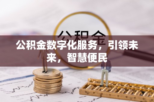 兰坪公积金数字化服务，引领未来，智慧便民
