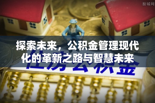 兰坪探索未来，公积金管理现代化的革新之路与智慧未来