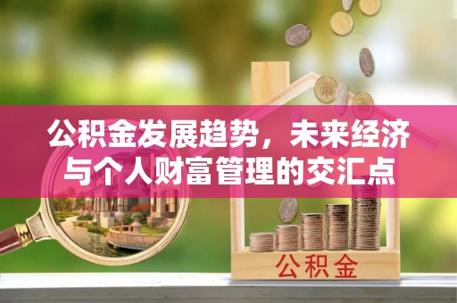 兰坪公积金发展趋势，未来经济与个人财富管理的交汇点
