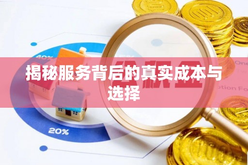 兰坪揭秘服务背后的真实成本与选择