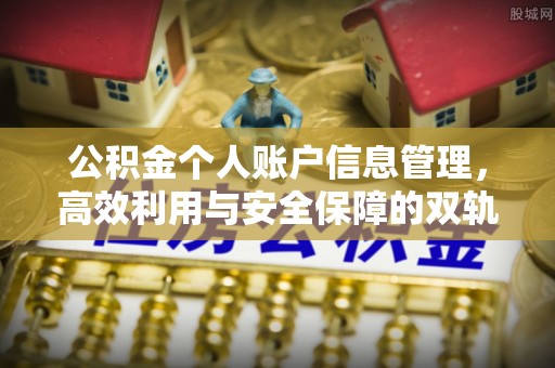 兰坪公积金个人账户信息管理，高效利用与安全保障的双轨并行