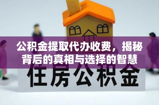 兰坪公积金提取代办收费，揭秘背后的真相与选择的智慧