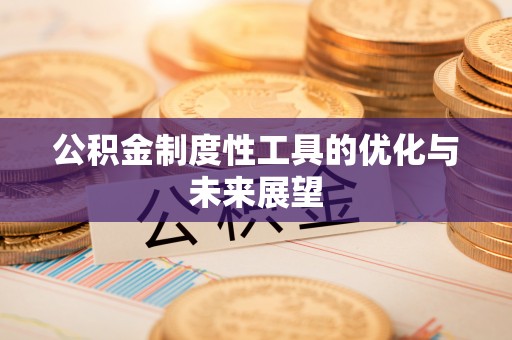 兰坪公积金制度性工具的优化与未来展望