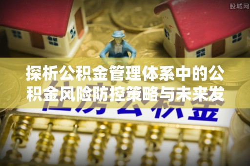 兰坪探析公积金管理体系中的公积金风险防控策略与未来发展