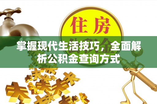 兰坪掌握现代生活技巧，全面解析公积金查询方式