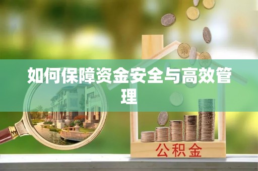 兰坪如何保障资金安全与高效管理
