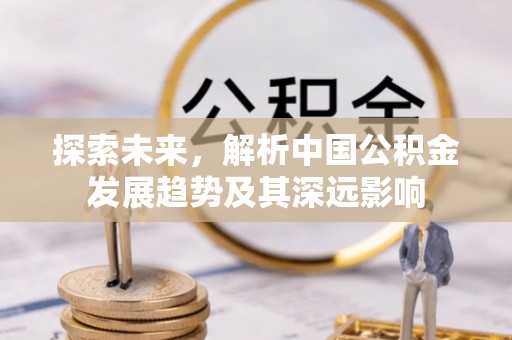 兰坪探索未来，解析中国公积金发展趋势及其深远影响