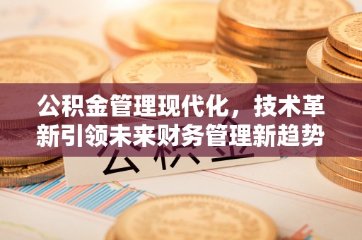 兰坪公积金管理现代化，技术革新引领未来财务管理新趋势