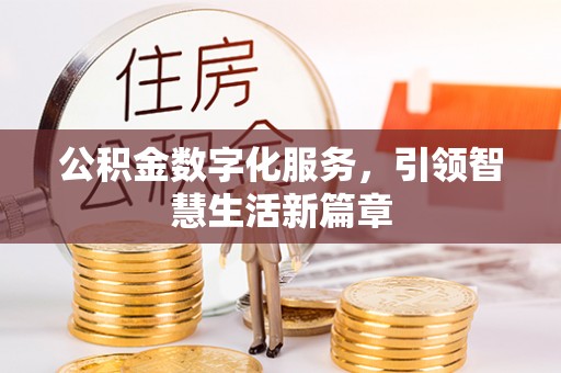 兰坪公积金数字化服务，引领智慧生活新篇章