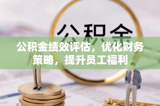 兰坪公积金绩效评估，优化财务策略，提升员工福利