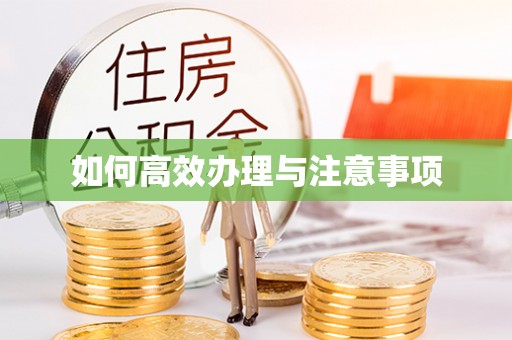 兰坪如何高效办理与注意事项