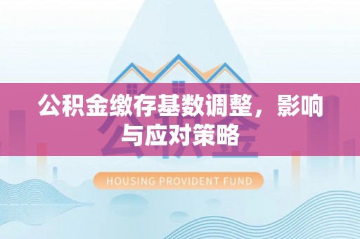 兰坪公积金缴存基数调整，影响与应对策略