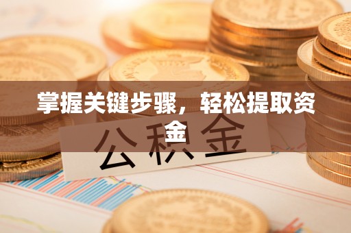 兰坪掌握关键步骤，轻松提取资金