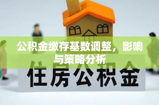 兰坪公积金缴存基数调整，影响与策略分析
