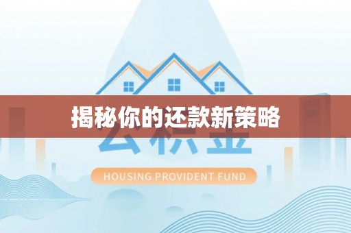 兰坪揭秘你的还款新策略