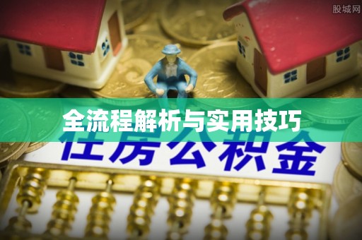 兰坪全流程解析与实用技巧