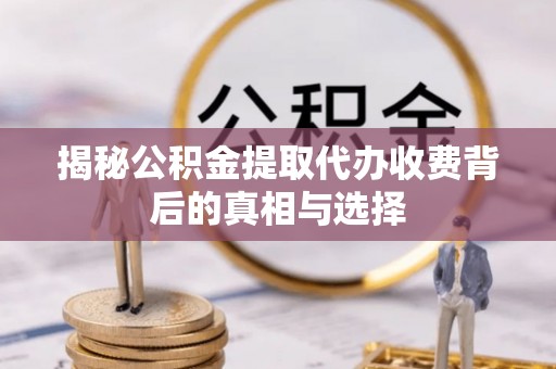兰坪揭秘公积金提取代办收费背后的真相与选择