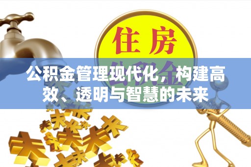 兰坪公积金管理现代化，构建高效、透明与智慧的未来
