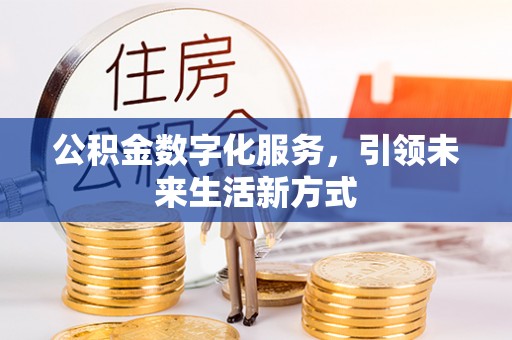兰坪公积金数字化服务，引领未来生活新方式