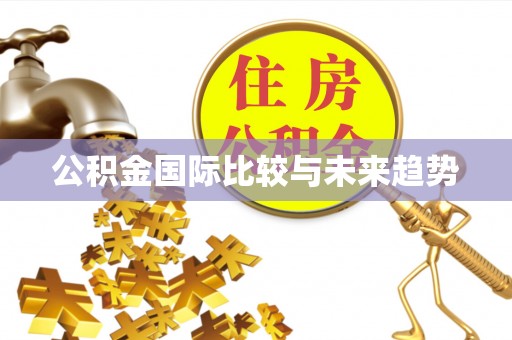 兰坪公积金国际比较与未来趋势