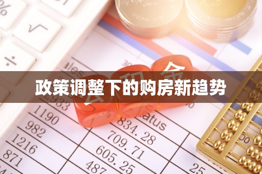 兰坪政策调整下的购房新趋势