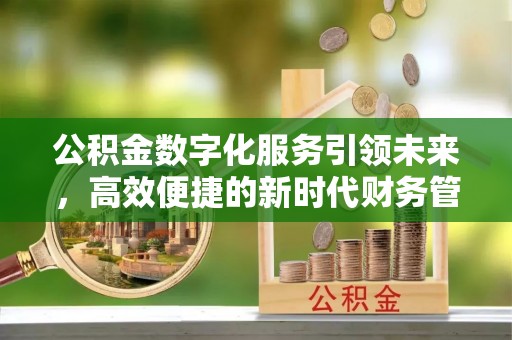 兰坪公积金数字化服务引领未来，高效便捷的新时代财务管理