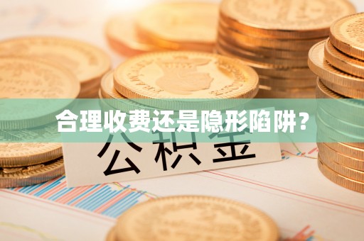 兰坪合理收费还是隐形陷阱？