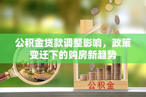 兰坪公积金贷款调整影响，政策变迁下的购房新趋势