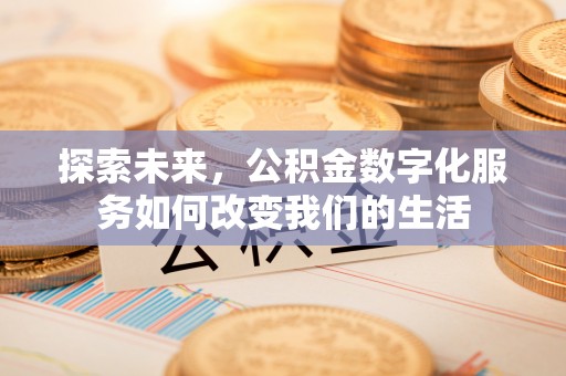兰坪探索未来，公积金数字化服务如何改变我们的生活