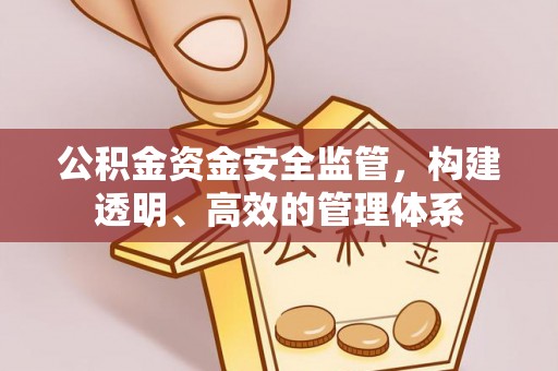 兰坪公积金资金安全监管，构建透明、高效的管理体系