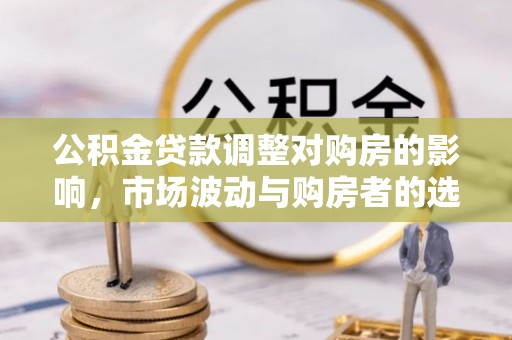 兰坪公积金贷款调整对购房的影响，市场波动与购房者的选择