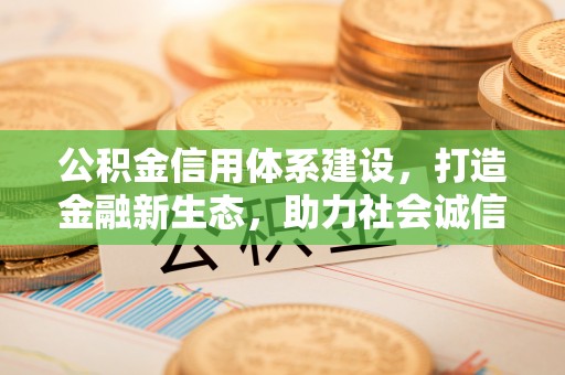 兰坪公积金信用体系建设，打造金融新生态，助力社会诚信发展