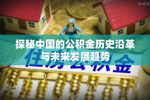 兰坪探秘中国的公积金历史沿革与未来发展趋势