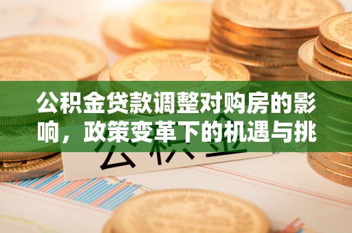 兰坪公积金贷款调整对购房的影响，政策变革下的机遇与挑战