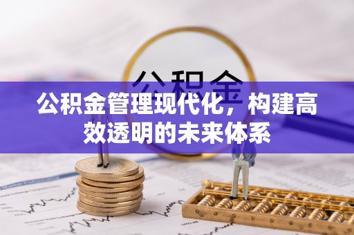 兰坪公积金管理现代化，构建高效透明的未来体系