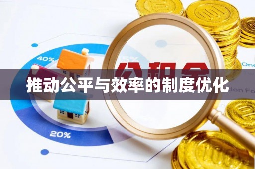 兰坪推动公平与效率的制度优化