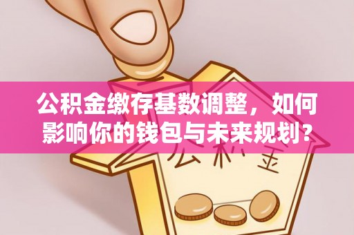 兰坪公积金缴存基数调整，如何影响你的钱包与未来规划？