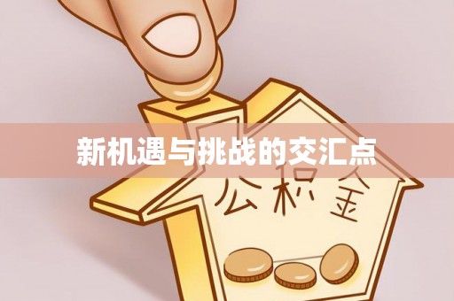 兰坪新机遇与挑战的交汇点