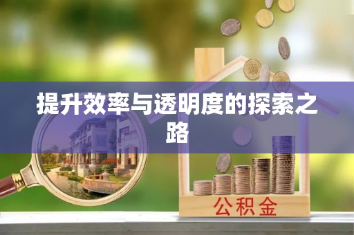 兰坪提升效率与透明度的探索之路