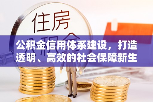 兰坪公积金信用体系建设，打造透明、高效的社会保障新生态