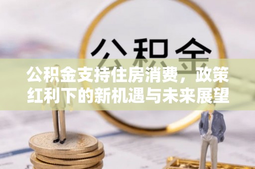 兰坪公积金支持住房消费，政策红利下的新机遇与未来展望