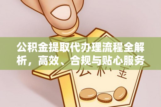 兰坪公积金提取代办理流程全解析，高效、合规与贴心服务