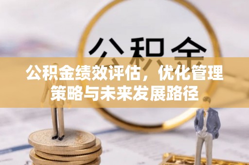 兰坪公积金绩效评估，优化管理策略与未来发展路径