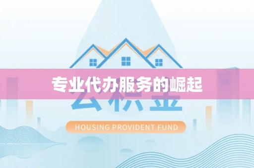 兰坪专业代办服务的崛起