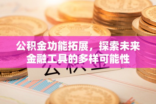兰坪公积金功能拓展，探索未来金融工具的多样可能性