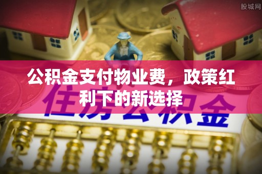 兰坪公积金支付物业费，政策红利下的新选择