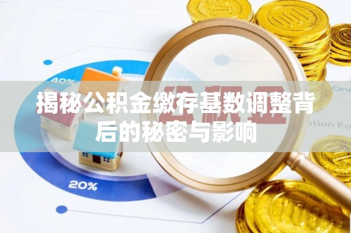 兰坪揭秘公积金缴存基数调整背后的秘密与影响
