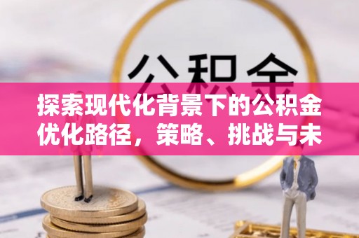 兰坪探索现代化背景下的公积金优化路径，策略、挑战与未来展望